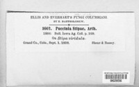 Puccinia stipae image